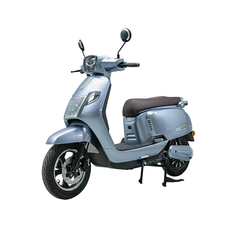 Motosikal Motosikal Dewasa untuk Dewasa 10 Inci 800W